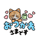 ぶっさん君（個別スタンプ：4）