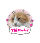 ぶっさん君（個別スタンプ：7）