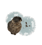 himawari to yukainanakamatachi（個別スタンプ：5）