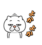 ウザ～～い猫★家族連絡用【九州・博多弁】（個別スタンプ：6）