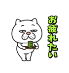 ウザ～～い猫★家族連絡用【九州・博多弁】（個別スタンプ：8）