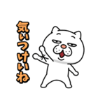 ウザ～～い猫★家族連絡用【九州・博多弁】（個別スタンプ：14）