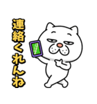 ウザ～～い猫★家族連絡用【九州・博多弁】（個別スタンプ：16）