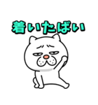 ウザ～～い猫★家族連絡用【九州・博多弁】（個別スタンプ：34）
