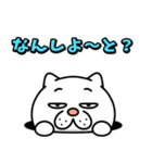 ウザ～～い猫★家族連絡用【九州・博多弁】（個別スタンプ：35）