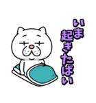 ウザ～～い猫★家族連絡用【九州・博多弁】（個別スタンプ：37）