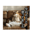 猫ママ 【日常編】（個別スタンプ：16）
