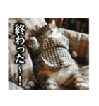 猫ママ 【日常編】（個別スタンプ：18）