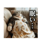 猫ママ 【日常編】（個別スタンプ：19）
