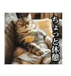 猫ママ 【日常編】（個別スタンプ：20）