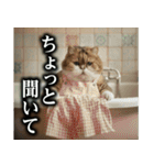 猫ママ 【日常編】（個別スタンプ：27）