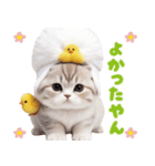 可愛い猫とひよこ 気軽に使える 関西弁ver.（個別スタンプ：14）