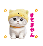 可愛い猫とひよこ 気軽に使える 関西弁ver.（個別スタンプ：23）