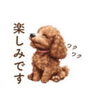 トイプードルの子犬 I 敬語スタンプ（個別スタンプ：12）