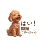 トイプードルの子犬 I 敬語スタンプ（個別スタンプ：17）