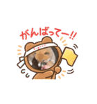 真•柴犬（個別スタンプ：6）