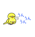 黄インコ小さい♪（個別スタンプ：18）