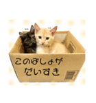てん・じん・なな（個別スタンプ：6）