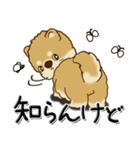 柴犬『ぐうたらちゃん』たまにはね！（個別スタンプ：15）