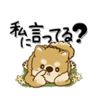 柴犬『ぐうたらちゃん』たまにはね！（個別スタンプ：17）