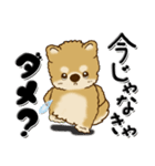 柴犬『ぐうたらちゃん』たまにはね！（個別スタンプ：24）