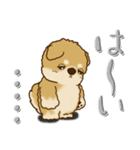 柴犬『ぐうたらちゃん』たまにはね！（個別スタンプ：35）