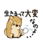 柴犬『ぐうたらちゃん』たまにはね！（個別スタンプ：38）