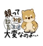 柴犬『ぐうたらちゃん』たまにはね！（個別スタンプ：39）