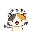 地味ねこ2（個別スタンプ：9）