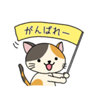 地味ねこ2（個別スタンプ：24）