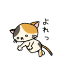 地味ねこ2（個別スタンプ：29）