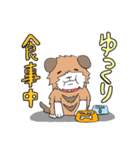 穏やかな犬（個別スタンプ：2）