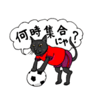 男子ねこサッカー部（個別スタンプ：12）