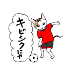 男子ねこサッカー部（個別スタンプ：14）