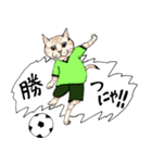 男子ねこサッカー部（個別スタンプ：15）