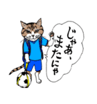 男子ねこサッカー部（個別スタンプ：16）