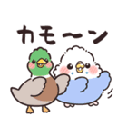 ふんわりインコちゃんのダジャレ（個別スタンプ：24）