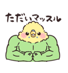 ふんわりインコちゃんのダジャレ（個別スタンプ：32）