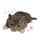 丼ぶりのすたんぷだよ（個別スタンプ：14）