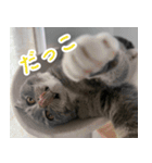 丼ぶりのすたんぷだよ（個別スタンプ：23）