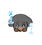 まろちゃんU^ェ^U（個別スタンプ：2）