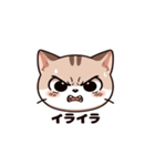 明るく元気な猫のスタンプ（個別スタンプ：6）