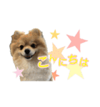 ぽてこわんこ（個別スタンプ：2）