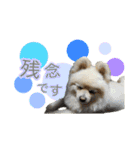 ぽてこわんこ（個別スタンプ：18）