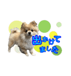ぽてこわんこ（個別スタンプ：32）