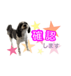 ぽてこわんこ（個別スタンプ：37）
