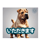 犬のスタンプ3(YaMaTo版)（個別スタンプ：23）