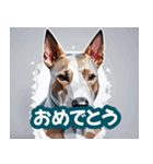 犬のスタンプ3(YaMaTo版)（個別スタンプ：30）