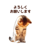 猫です【リアルでBIG】定番＆流行った言葉（個別スタンプ：3）