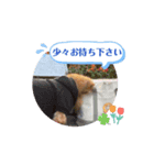 ラルクさん動画スタンプ01（個別スタンプ：4）